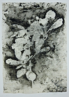 Arborescencia #19, 2018.