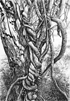 Barranca abajo #04, 2020. Pastel y grafito sobre papel algodón. 118x82 cm.