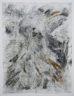 Impresiones de un bosque #12, 2019.  Mixta sobre papel.  99x74 cm.