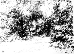 El canto de las sombras #04, 2013.