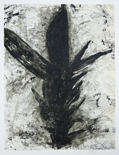 Arborescencia #11, 2018.