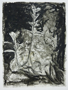 Arborescencia #09, 2018.