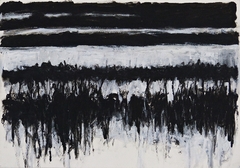 Raíces del agua #13, 2012.