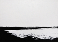 Raíces del agua #08, 2012.