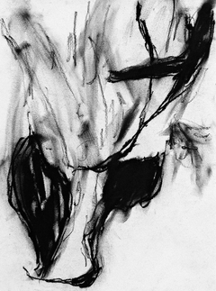 Esquiagrafías #09, 2016. Pastel sobre papel. 28x21 cm.