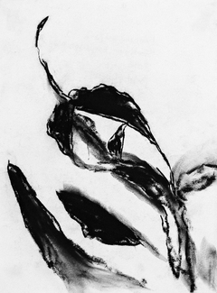 Esquiagrafías #08, 2016. Pastel sobre papel. 28x21 cm.