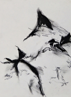 Esquiagrafías #16, 2016.