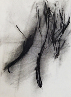 Esquiagrafías #21, 2016.