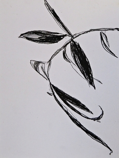 Sauce #15, 2016.