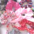 SCRUNCHIE XUXINHA ELÁSTICO PARA CABELO C/ 12 UN