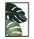 Imagen de MONSTERA