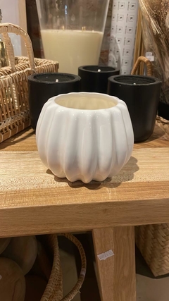 Vela Anemona - comprar online