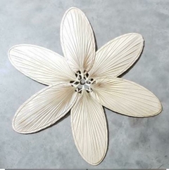 Pantalla Lotus
