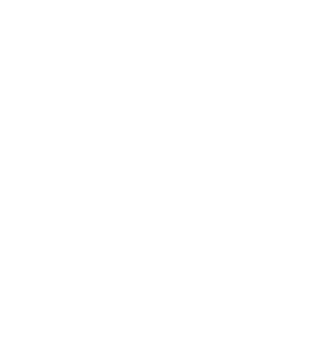 INSOMNIE