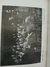 GROSSE DEUTSCHE KUNSTAUSSTELLUNG 1937