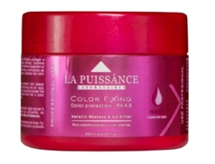 Máscara Fixing x 250 ml - La Puissance