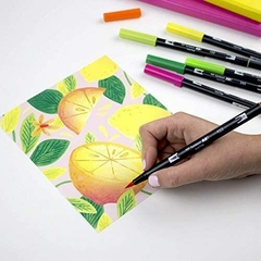 MARCADORES TOMBOW DUAL BRUSH CITRUS en internet