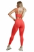 Imagem do Conjunto Delight