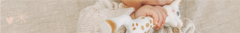 Banner de la categoría SOPHIE