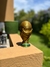 Picopa del mundial XL en internet