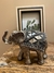 Elefante ÁFRICA en internet