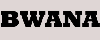 Bwana clothes, art & design