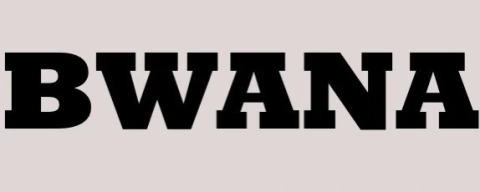 Bwana clothes, art & design