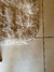 Tapete Felpudo - 100cm x 60cm - comprar online