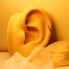 Argola Clicker Textura Lateral (Piercing Helix | Cartilagem)