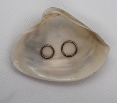Argola Básica Clicker Titânio (Piercing Orelha | Septo) na internet