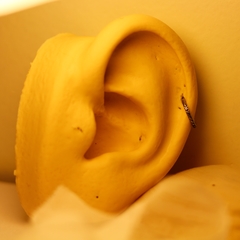 Argola Clicker Textura Lateral (Piercing Helix | Cartilagem) - loja online