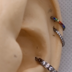 Argola Titânio Cravejada Zircônias Coloridas na internet