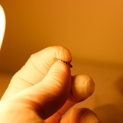 Argola Clicker Textura Lateral (Piercing Helix | Cartilagem) - loja online