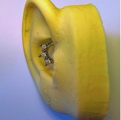Argola Clicker Indiana Titânio (Daith | Septo) - comprar online