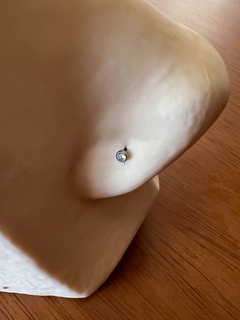 Imagem do Ponto de Luz Piercing Nostril (Nariz/Aba nasal)