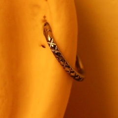 Imagem do Argola Clicker Textura Lateral (Piercing Helix | Cartilagem)