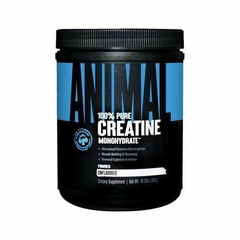 CREATINA 300 GR - UNIVERSAL