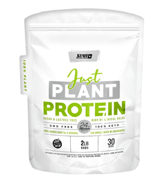 JUST PLANT PROTEIN 2LB - STAR