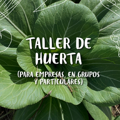 Taller de huerta para grupos y organizaciones PRESENCIAL o VIRTUAL
