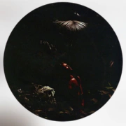 Testimonio de Mate Entregas