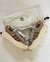Adidas Low x Bad Bunny Campus Brown - Jhobrus Concept 
