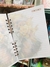 Caderno leão colorido na internet