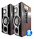 PARLANTE POTENCIADO KARAOKE SAHT-A11