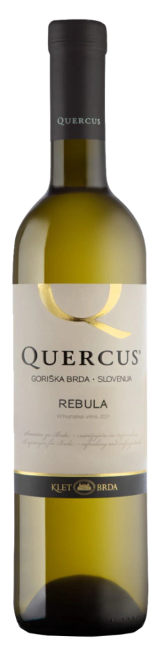 QUERCUS REBULA