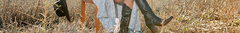 Banner de la categoría ACCESORIOS