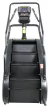 Imagem do ESCADA CLIMBMILL CM2000
