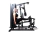 Estação de Musculação Comercial FT13000 - comprar online