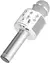 Mini Kit Karaoke Bluetooth en internet