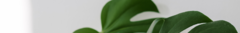 Banner de la categoría Línea EAMES