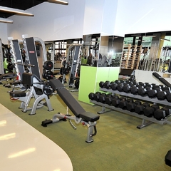 Rack Squat Nautilus en internet